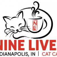 Nine Lives Cat Café