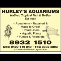 Hurley's Aquariums