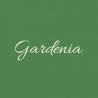 Gardenia Magnifica Flowers