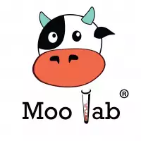 Moo Lab Sheffield