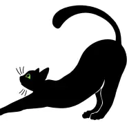Black Cat Shop Llandrindod Wells